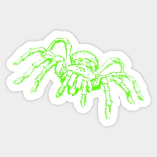 Spider - Neon Green Spider Tarantula - Black Sticker